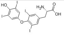 左甲状腺素